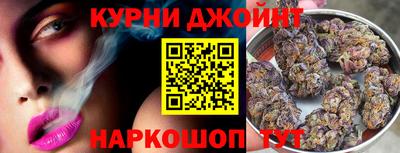 индика Аргун