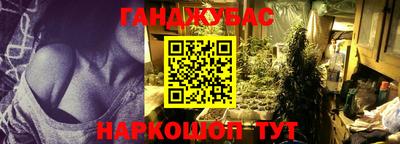 индика Аргун