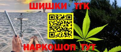 индика Аргун
