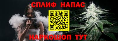 индика Аргун