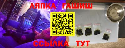 индика Аргун