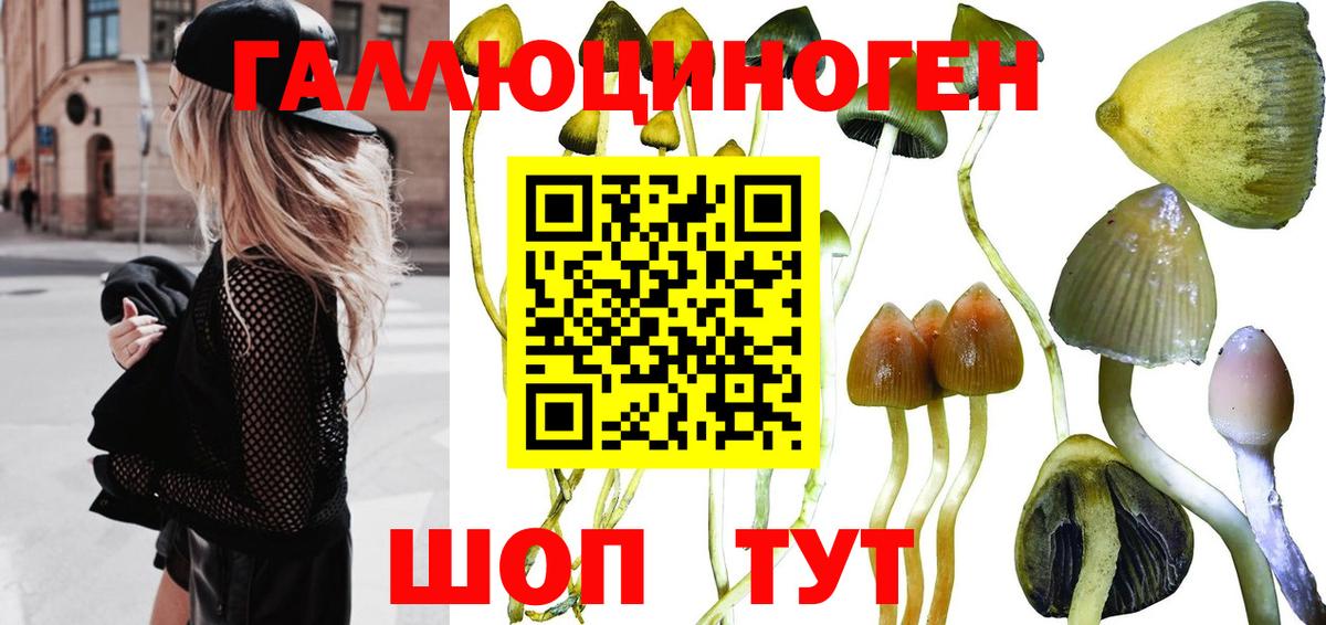 Волжск  Псилоцибиновые грибы Magic Shrooms  Вход с VPN 
