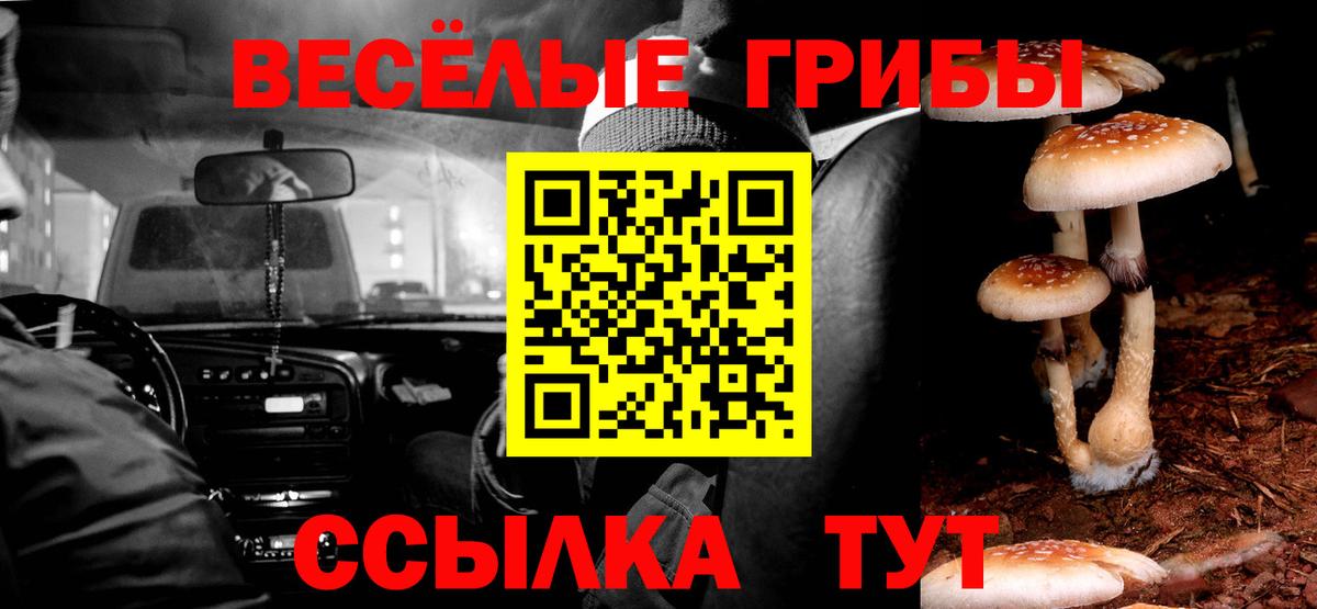 Галлюциногенные грибы Cubensis Волжск